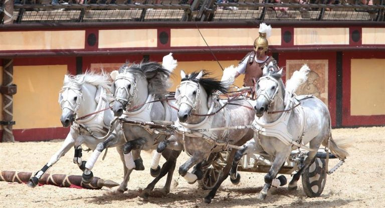 Camping Du Vieux Château : Puy Du Fou