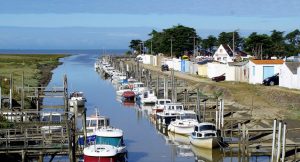 Camping Du Vieux Château : Le Port Du Collet , à Bourgneuf En Retz Final