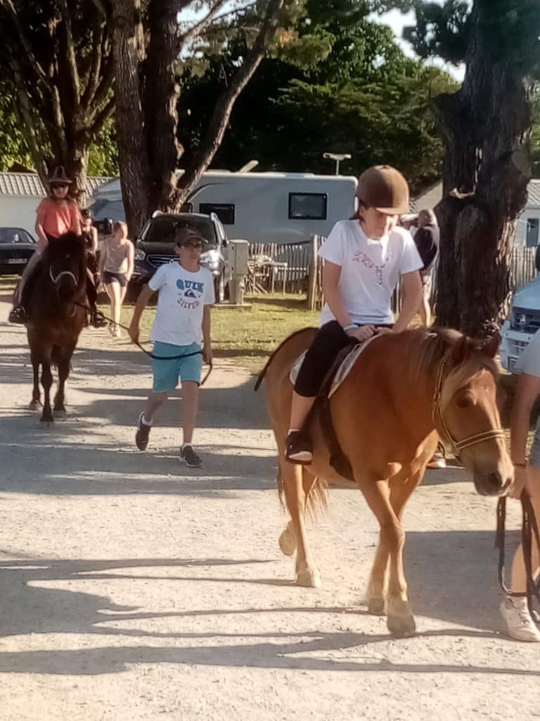 Camping Du Vieux Château : Smart