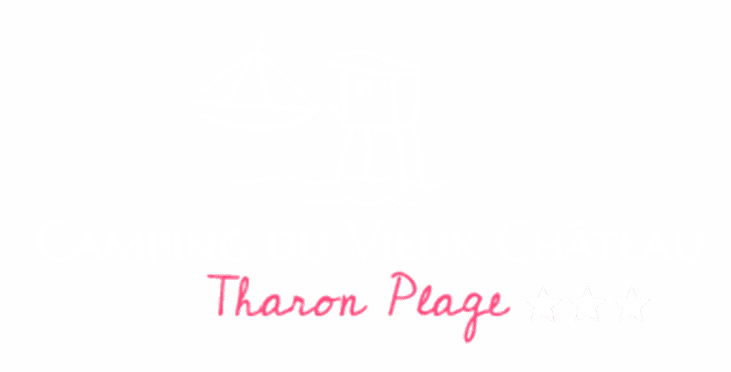 Camping Du Vieux Château : Logo Etoile Blanc 1