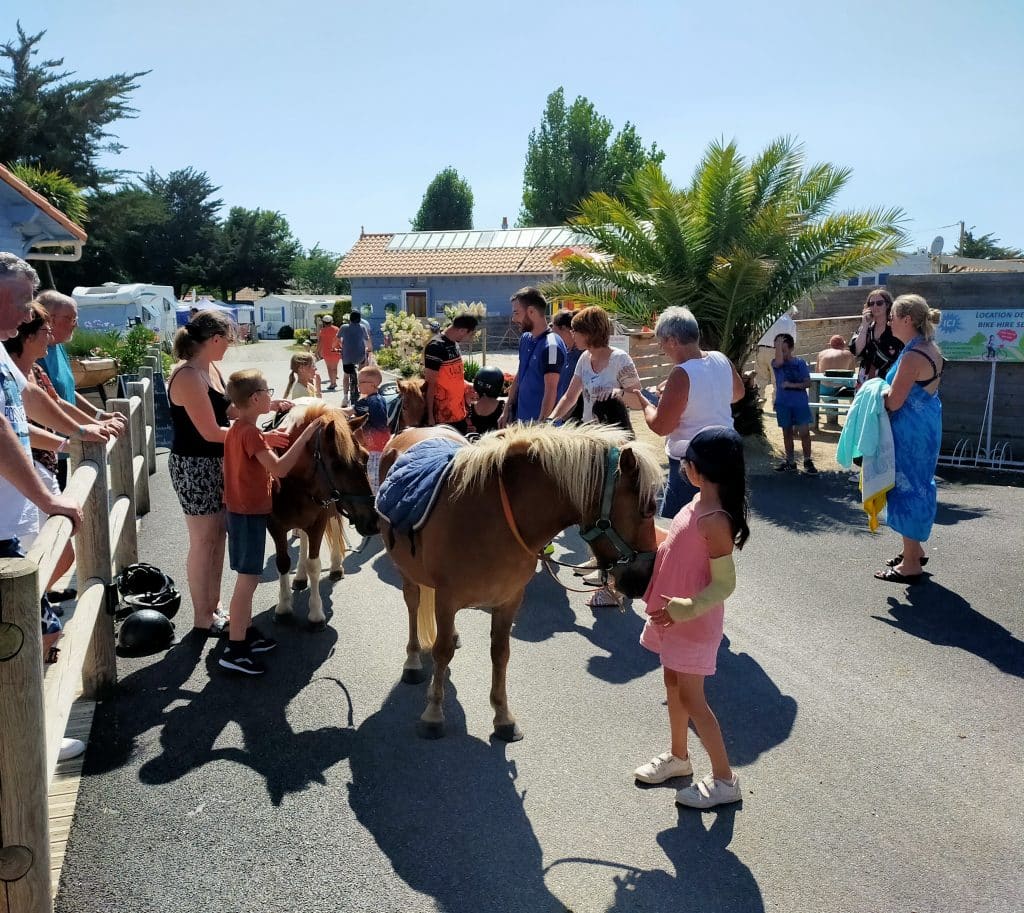 Camping Du Vieux Château : Image Site