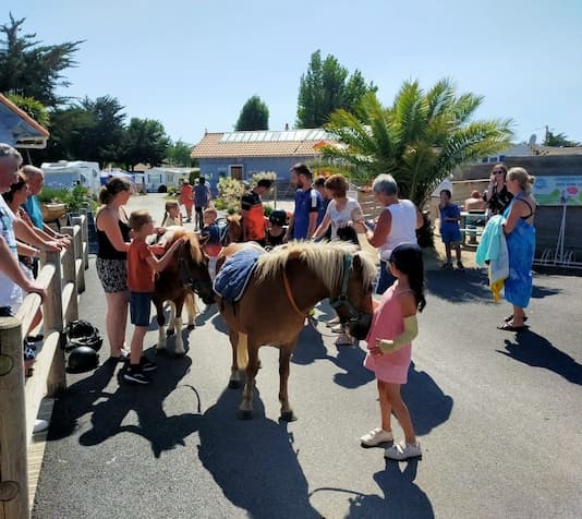 Animation poney au camping familial du vieux château