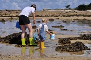 Pêche à pied en famille à Saint Michel Chef Chef