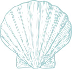 Balades Saint Michel Chef Chef 4 coquillage