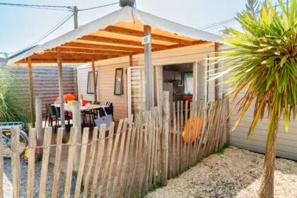 55 Detente 4ch SLG6822