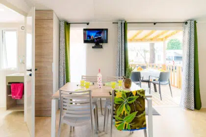 67 Escapade premium 2ch SLG6963