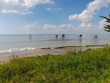 Tharon beach 4 AdobeStock 1681535284