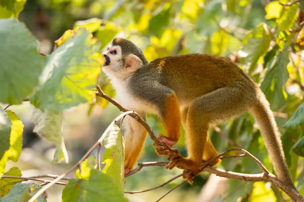 AdobeStock 1764826617