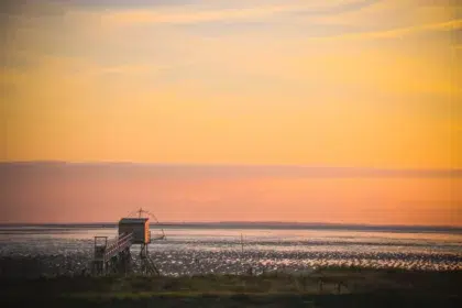 Balades Saint Michel Chef Chef 2 AdobeStock 297155138