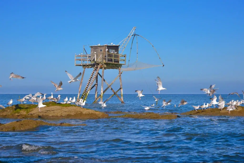 AdobeStock 354016645