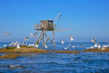 Saint Michel Chef Chef 2 AdobeStock 354016645