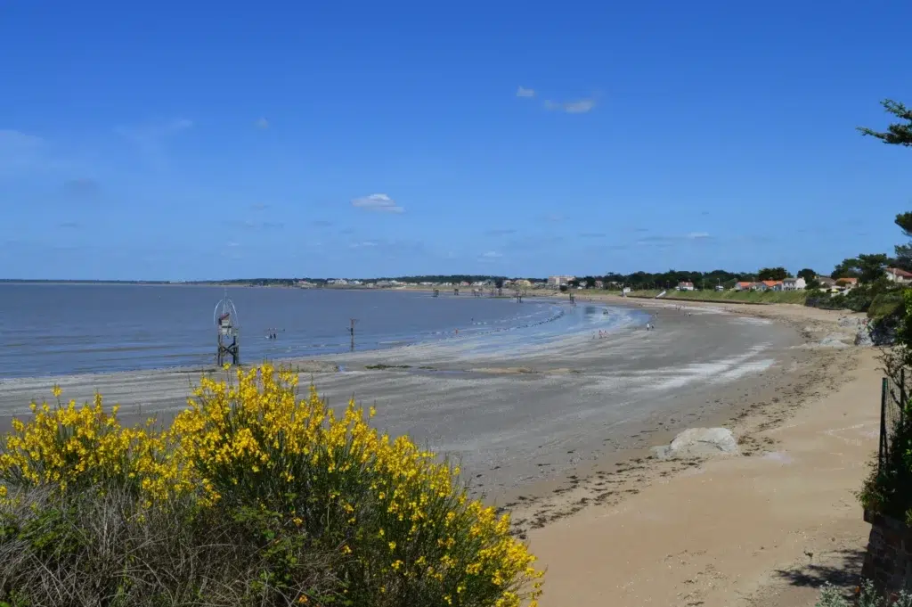 AdobeStock 365875321