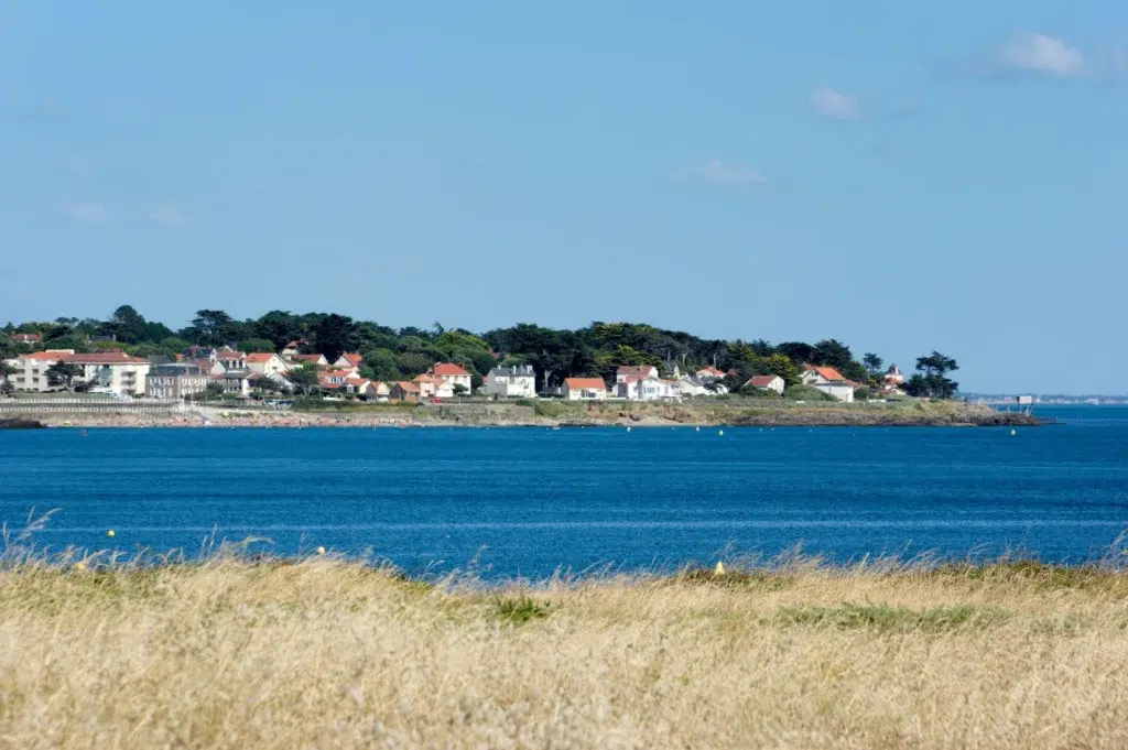 AdobeStock 478485386