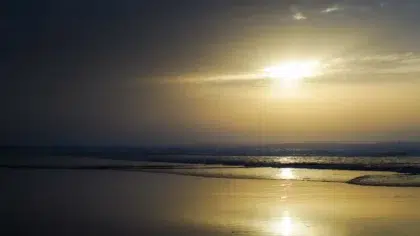 Cormorane Beach 2 AdobeStock 553417163