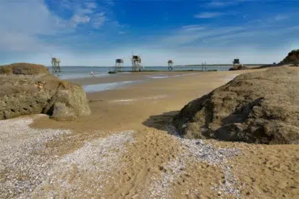 Saint Michel Chef Chef 4 AdobeStock 655649112