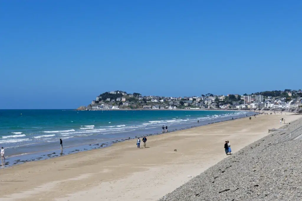 AdobeStock 841893478