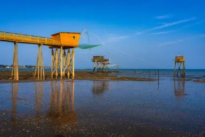 Surroundings 2 Pecherie SLG6550